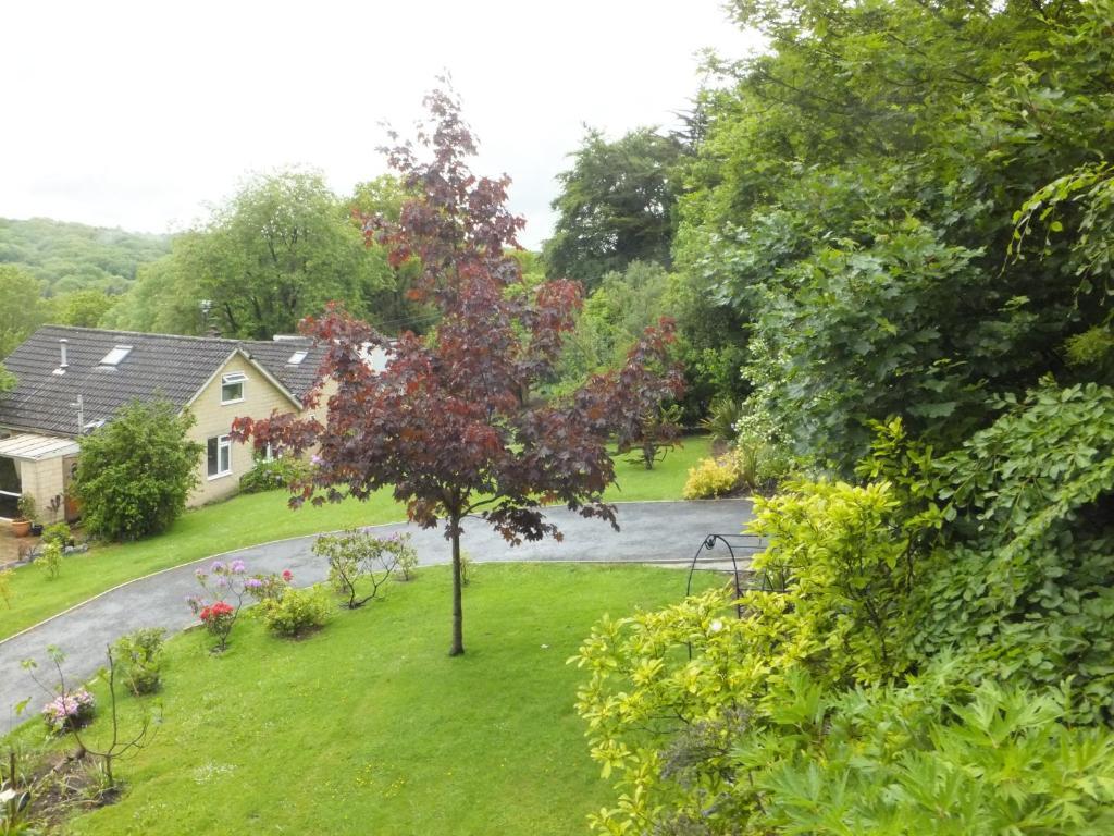 Shrubdown Bed and Breakfast Freshford Εξωτερικό φωτογραφία